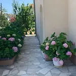 And Adria Apartman